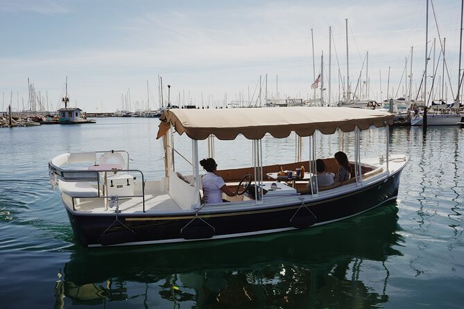 Private Harbor Cruise on Electric Boat in Santa Barbara - What One Hour on Whisper Really Includes