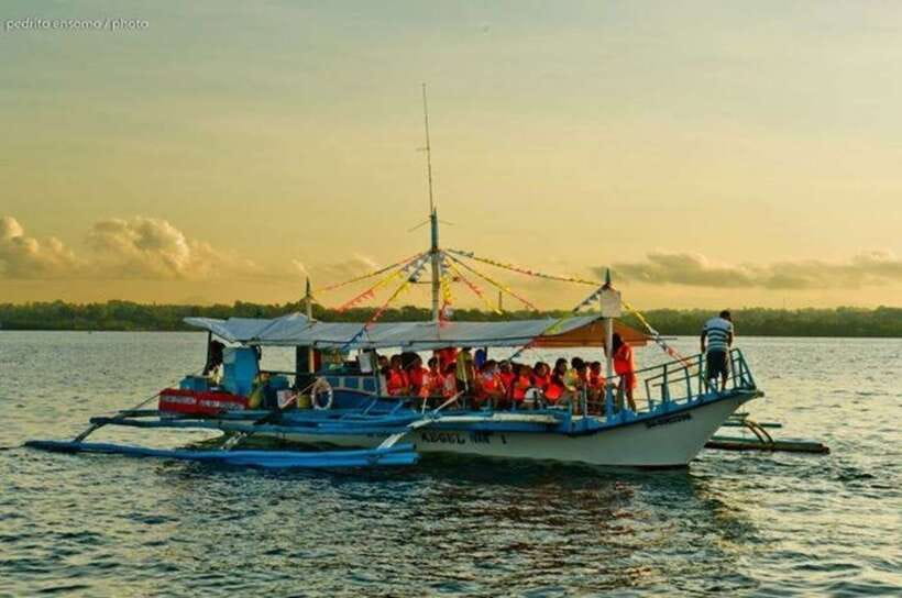 Puerto Princesa: Firefly Watching Bay Cruise with Dinner - Is the $34 price fair?