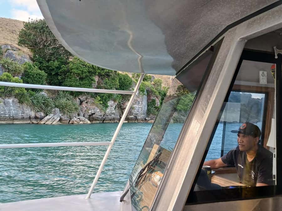 Raglan: Scenic Harbour Sunset Cruise - Volcanic scenery and the Tasman Sea