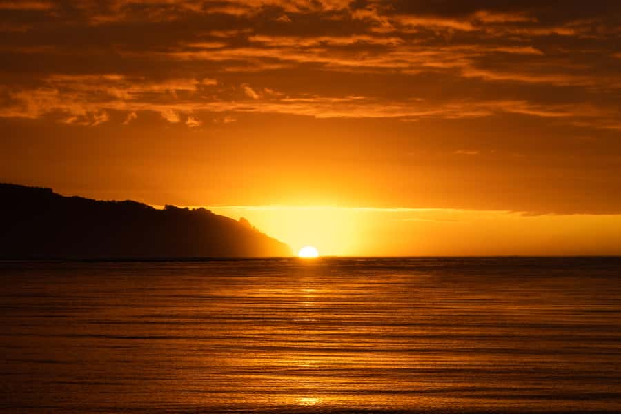 Raglan: Scenic Harbour Sunset Cruise - A drink, music, and the right kind of evening