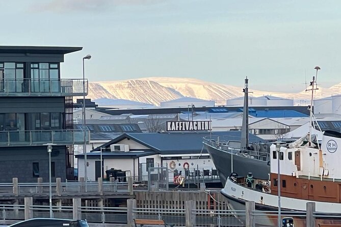 Reykjavik Food Tour - Old Harbor Walking Tour - Starting at Seljavegur 2 in Reykjavik