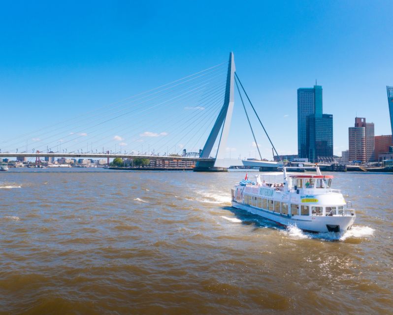 Rotterdam: Harbor Cruise with Live Guide - The skyline and Erasmus Bridge