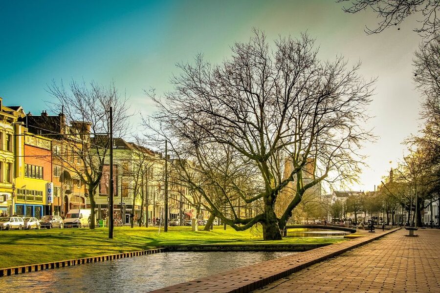 Rotterdam Walking Tour and Harbor Cruise - Who should book this Rotterdam experience?