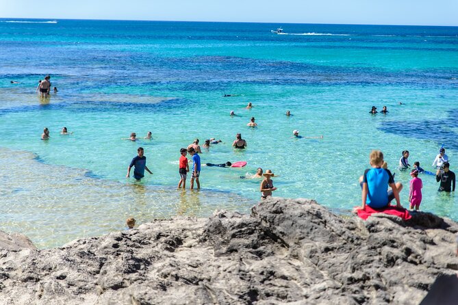 Rottnest Island Roundtrip Fast Ferry from Hillarys Boat Harbour - Why the Hillarys departure works well