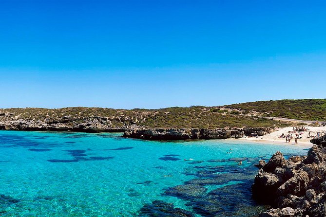Rottnest Island Roundtrip Fast Ferry from Hillarys Boat Harbour - Beaches, bays, and Wadjemup Lighthouse