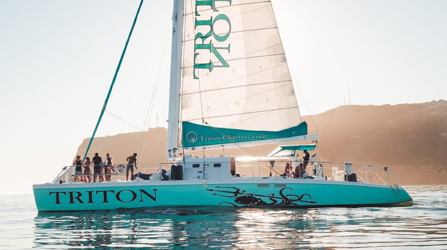 San Diego Harbor Cruise: 2.5 hour Catamaran Cruise - The Coronado Bridge and the skyline