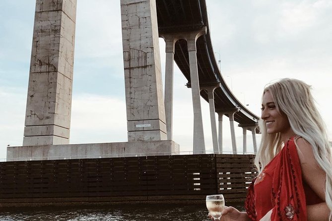 San Diego Harbor Cruise - North Bay: bases, islands, and the open harbor
