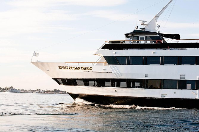 San Diego Harbor Cruise - South Bay: Navy ships, shipyards, and the Coronado Bridge