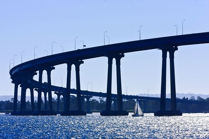 San Diego Harbor Cruise - Wildlife and changing harbor activity