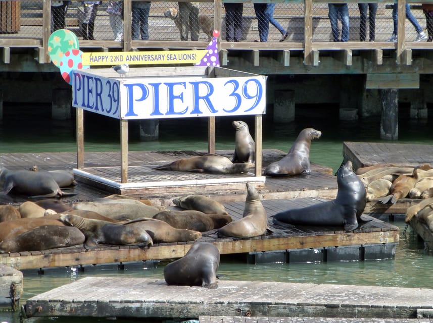 San Francisco: Hop-On Hop-Off City Bus Tour and Bay Cruise - Is the $99 price good value?