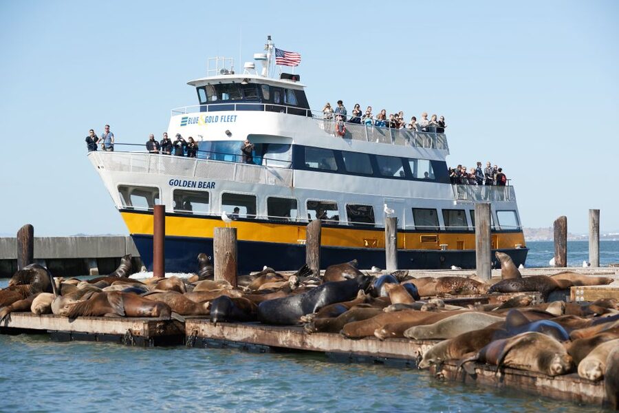 San Francisco: Inside Alcatraz Tour with Bay Cruise - The prison yard, island paths, and practical walking concerns