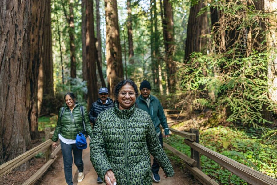 San Francisco: Muir Woods, Sausalito and SF Bay Cruise - Key points at a glance