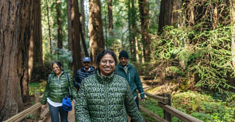 San Francisco: Muir Woods, Sausalito and SF Bay Cruise - Why this tour works well for a first San Francisco visit