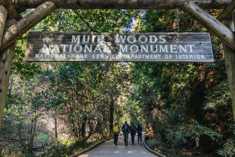 San Francisco: Muir Woods, Sausalito and SF Bay Cruise - What you get for $133