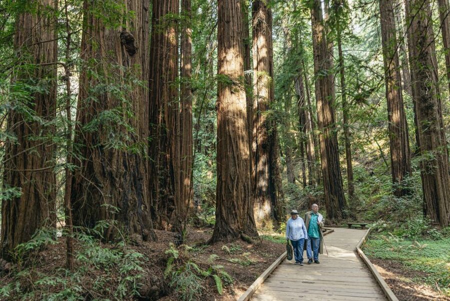 San Francisco: Muir Woods, Sausalito and SF Bay Cruise - Who should book this outing