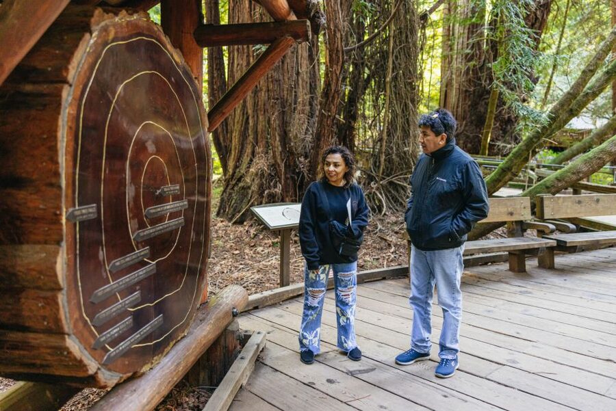 San Francisco: Muir Woods, Sausalito and SF Bay Cruise - Starting in San Francisco and crossing the Golden Gate Bridge