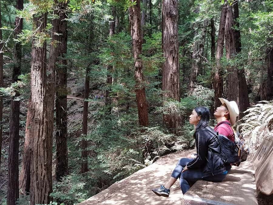 San Francisco: Muir Woods Tour & Golden Gate Bay Cruise - From Fisherman’s Wharf to the redwood canyon