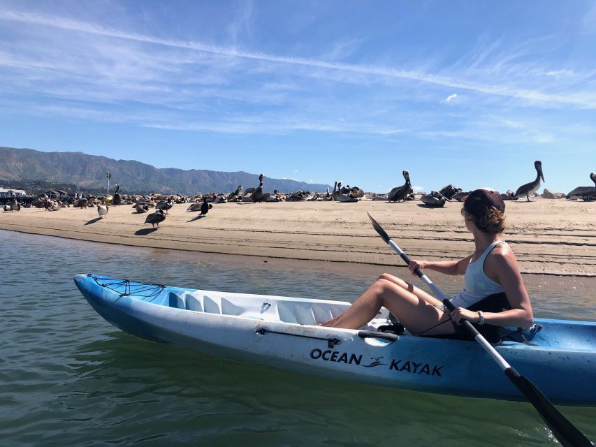 Santa Barbara: 1.5-Hour Harbor Kayak Tour - Key points at a glance