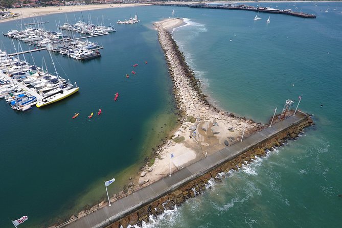 Sea Lion Kayak Tour - Santa Barbara Harbor - Getting on the water with a local guide
