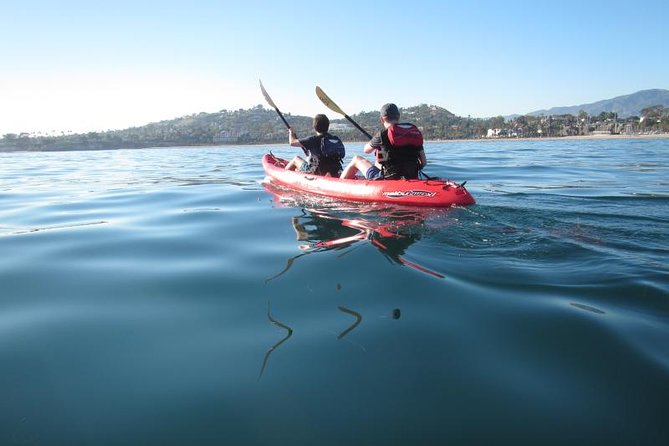 Sea Lion Kayak Tour - Santa Barbara Harbor - How the $70 price holds up