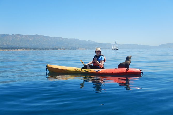 Sea Lion Kayak Tour - Santa Barbara Harbor - Paddling toward the sea lions