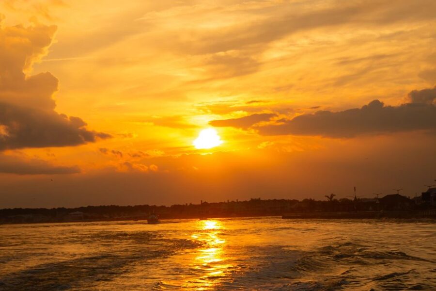 Sea Rocket Sunset & OC Harbor Cruise in Ocean City, MD - Searching for bottlenose dolphins