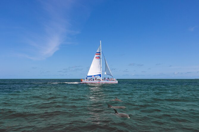 St. Augustine Dolphin Watch and Historical Harbor Tour - Searching for dolphins near Vilano Beach