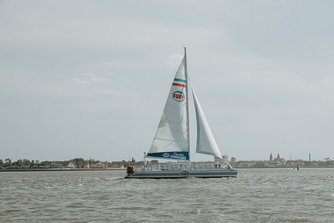 St. Augustine Dolphin Watch and Historical Harbor Tour - A spacious catamaran with room to move