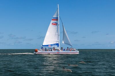 St. Augustine Dolphin Watch and Historical Harbor Tour