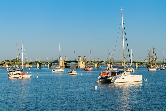 St. Augustine Dolphin Watch and Historical Harbor Tour - Beer, wine, soda, and bagged snacks