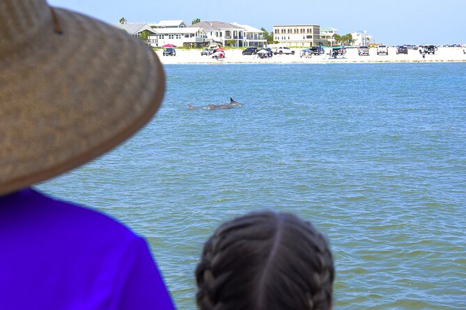 St. Augustine Dolphin Watch and Historical Harbor Tour - Who will enjoy this cruise most