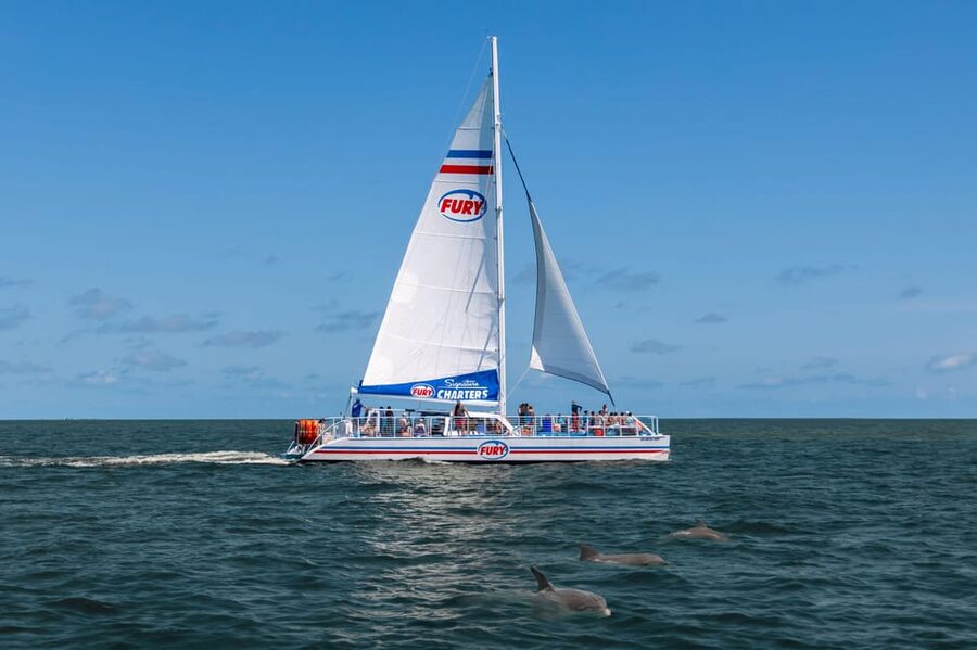 St. Augustine: Dolphin Watching Harbor Tour with Drinks - Watching Bottlenose Dolphins Around Vilano Beach