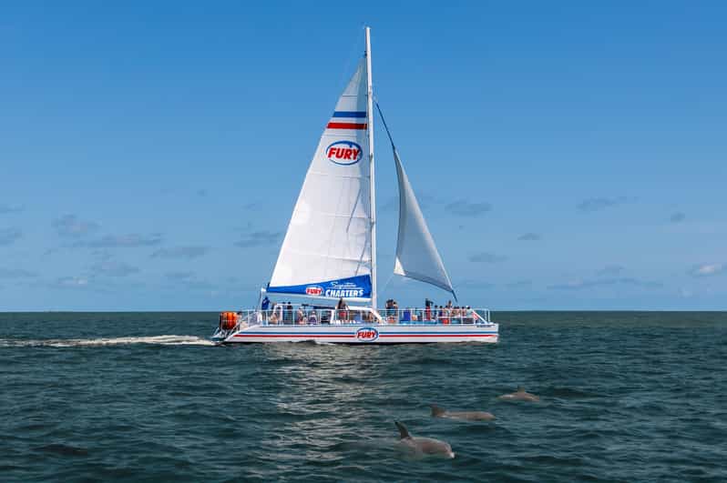 St. Augustine: Dolphin Watching Harbor Tour with Drinks - The Catamaran, Seating, and Onboard Comfort