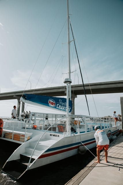 St. Augustine: Dolphin Watching Harbor Tour with Drinks - A Friendly, Low-Key Crew