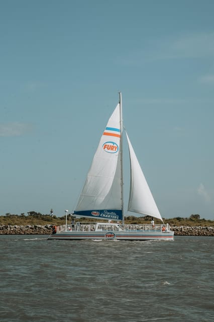 St. Augustine: Dolphin Watching Harbor Tour with Drinks - Who Will Get the Most From This Cruise