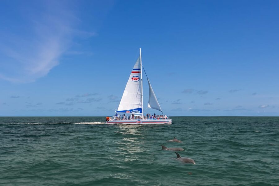 St. Augustine: Dolphin Watching Harbor Tour with Drinks - Is $42 a Fair Price?