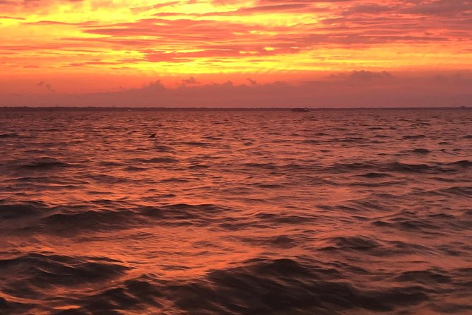 Sunset Dolphin Watching Cruise in Destin Harbor - Who will enjoy this ride most?