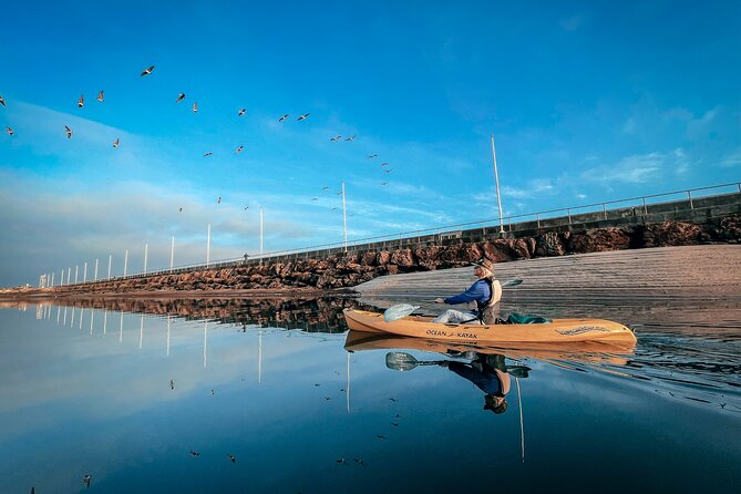 Sunset Kayak Tour in Santa Barbara Harbor (2 Hours) - Why sunset is the right time for Santa Barbara Harbor