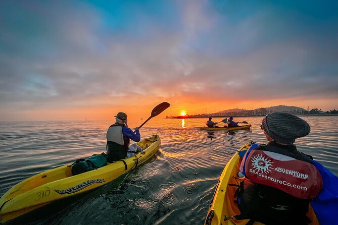 Sunset Kayak Tour in Santa Barbara Harbor (2 Hours) - How wet and strenuous is the tour?