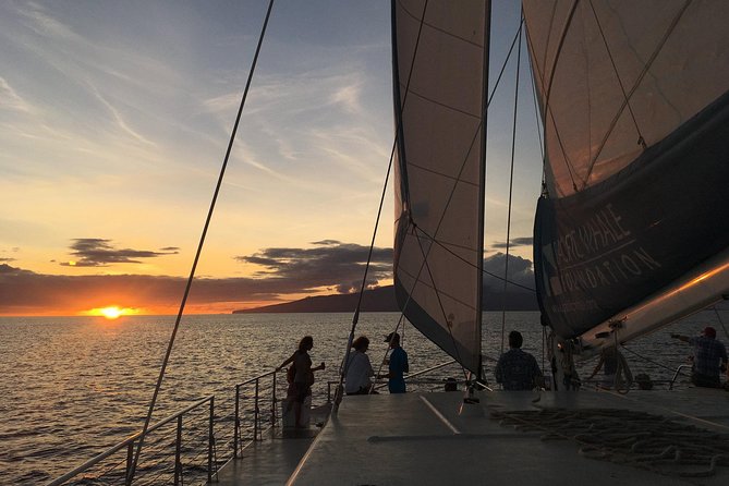 Sunset Sail from Ma'alaea Harbor - Sunset views and the chance of whales