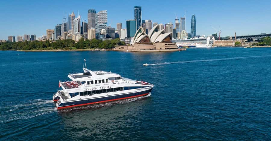 Sydney: Devonshire Tea Harbour Cruise with Live Commentary - The catamaran experience and seating choices