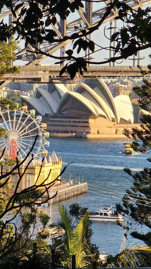 Sydney: Sunset Kayak - Opera & Harbour Bridge Tour (5p. max) - How good is the value at $113?