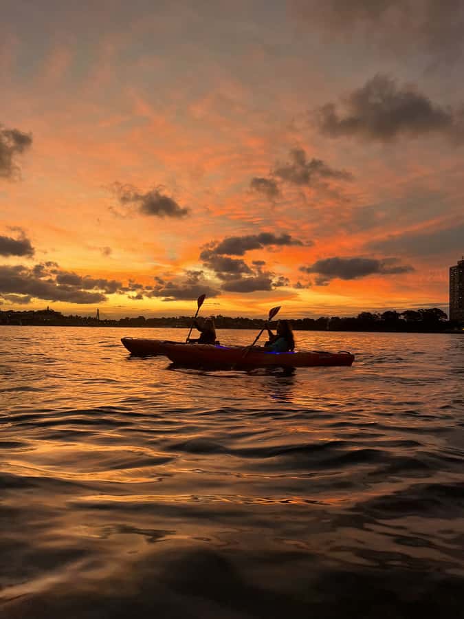 Sydney: Sunset Kayak Tour on Sydney Harbour - What the $105 price really covers