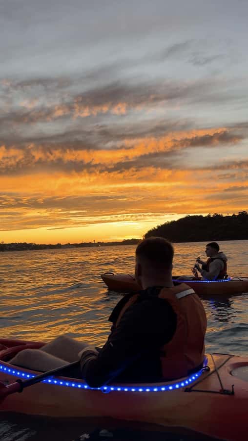 Sydney: Sunset Kayak Tour on Sydney Harbour - Who will enjoy this tour most