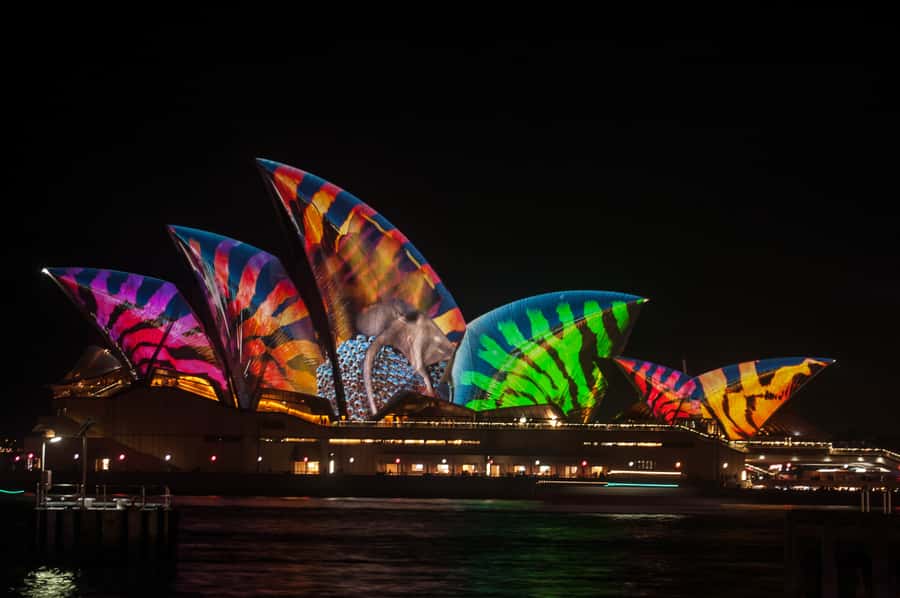 Sydney: Vivid Festival of Light Harbor Cruise with Dinner - Boarding at King Street Wharf 6