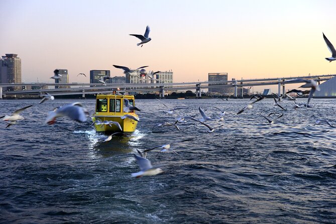 Tokyo: Scenic Bay Cruise with Local Guide on Private Boat - Toyosu Fish Market from the bay