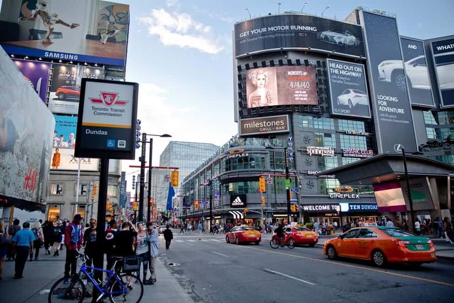 Toronto: Premium Driving Tour with Tower and Harbour Cruise - Small-group transport and the value of hotel pickup
