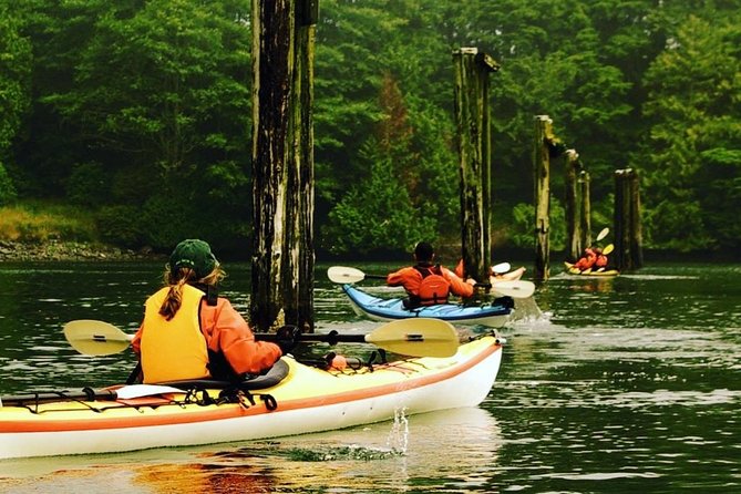 Ucluelet Harbour Tour - Key points to know before you paddle