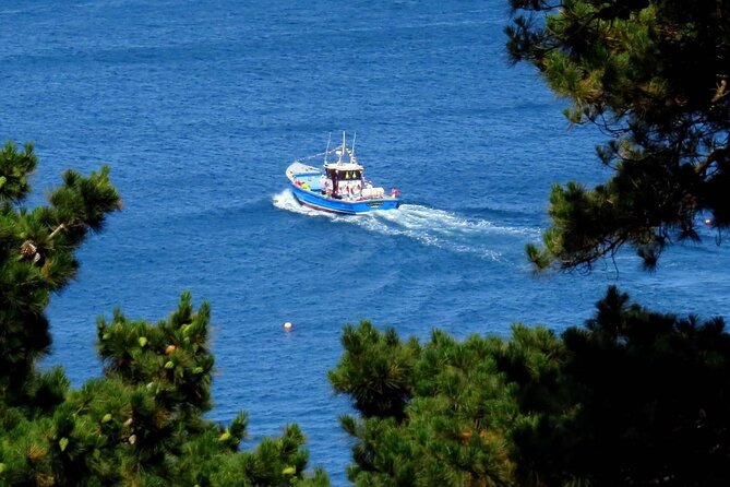 Unrivalled Coastal Tour to Saint's Bay Harbour - Fermain Bay and Bec du Nez