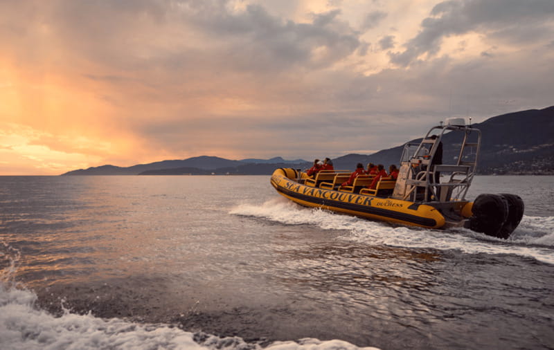 Vancouver: Waterfront Sightseeing Tour - City and Harbour - Kitsilano, Spanish Banks, and English Bay